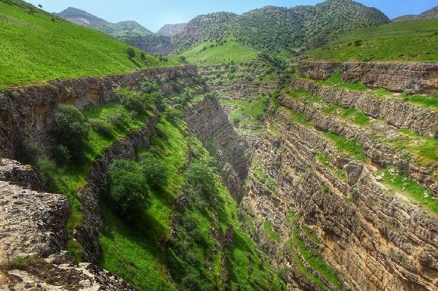 طبیعت دامچی در روستای کلاته چنار شهرستان درگز